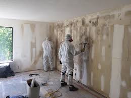 Best HVAC Mold Inspection and Cleaning in Daleville, IN